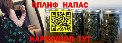 прущие крисы Нальчик
