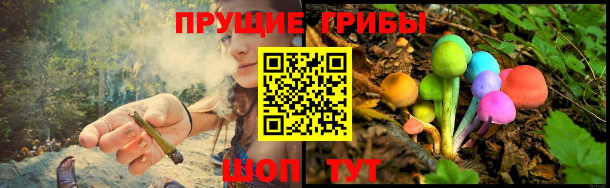 Химки  Псилоцибиновые грибы MAGIC MUSHROOMS  купить наркотик  Вход с VPN 